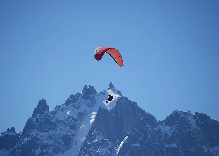 샬레 Peace And 샤모니