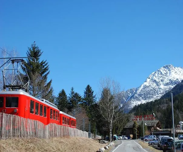 Peace And שאמוני